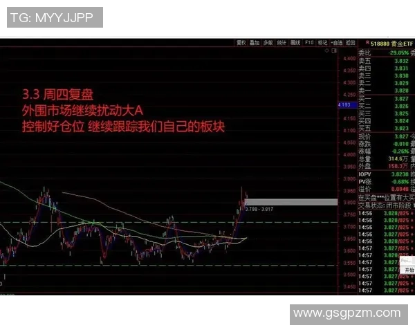 南京羽毛球队与武汉羽毛球队赛后复盘分析比赛节奏与战术对决