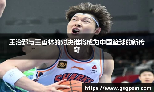王治郅与王哲林的对决谁将成为中国篮球的新传奇