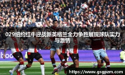 NG娱乐