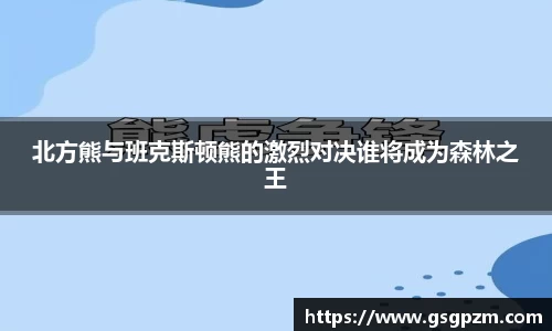 NG娱乐