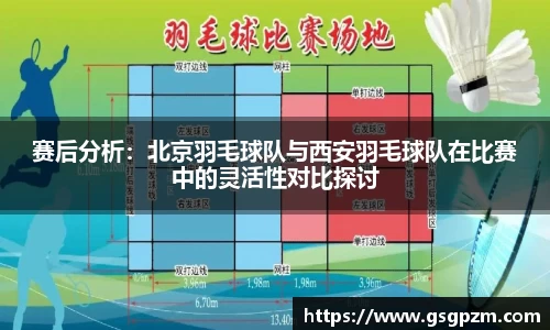 赛后分析：北京羽毛球队与西安羽毛球队在比赛中的灵活性对比探讨